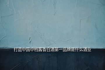 打造中國(guó)中檔醬香白酒第一品牌是什么酒業(yè)