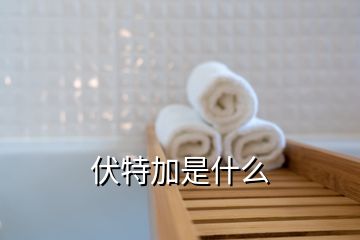 伏特加是什么