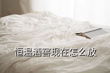 恒溫酒窖現(xiàn)在怎么放