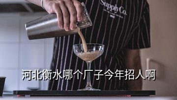 河北衡水哪個(gè)廠子今年招人啊