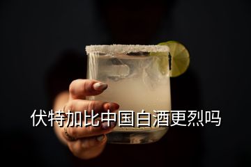 伏特加比中國(guó)白酒更烈嗎