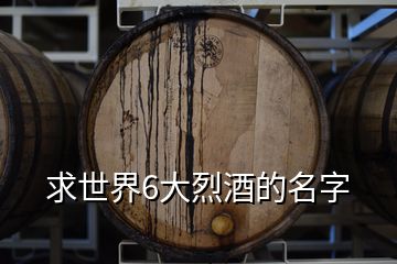 求世界6大烈酒的名字