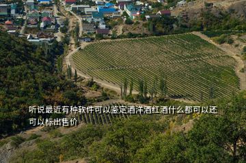 聽說最近有種軟件可以鑒定酒洋酒紅酒什么都可以還可以標出售價