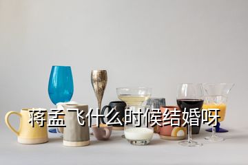 蔣孟飛什么時(shí)候結(jié)婚呀