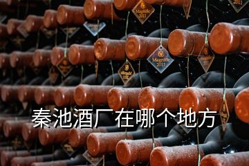 秦池酒廠在哪個地方