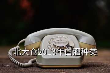 北大倉2013年白酒種類