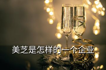 美芝是怎樣的一個(gè)企業(yè)