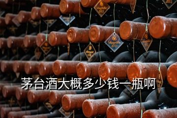 茅臺(tái)酒大概多少錢(qián)一瓶啊