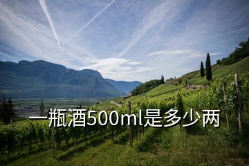 一瓶酒500ml是多少兩