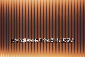 吉林省輝南鎮(zhèn)有幾個鎮(zhèn)委書記都是誰