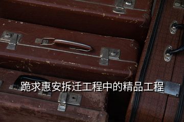 跪求惠安拆遷工程中的精品工程