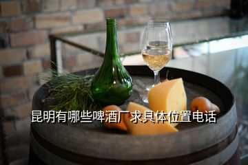 昆明有哪些啤酒廠求具體位置電話