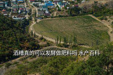 酒糟真的可以發(fā)酵做肥料嗎 水產百科