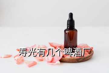 壽光有幾個啤酒廠