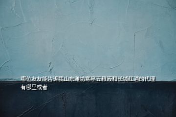 哪位友友能告訴我山東濰坊寒亭五糧液和長城紅酒的代理有哪里或者