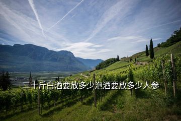 二十斤白酒要放多少泡酒要放多少人參