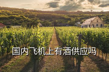 國內(nèi)飛機上有酒供應嗎