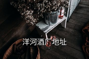 洋河酒廠地址