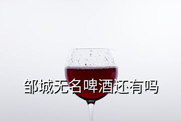 鄒城無名啤酒還有嗎