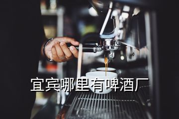 宜賓哪里有啤酒廠