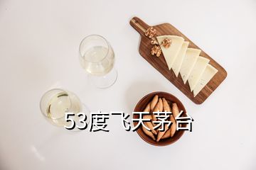 53度飛天茅臺(tái)