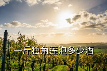 一斤獨角蓮泡多少酒