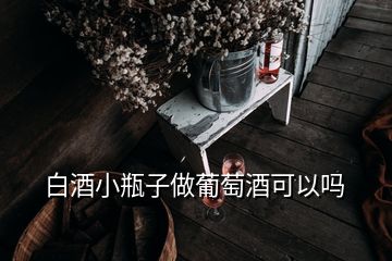 白酒小瓶子做葡萄酒可以嗎