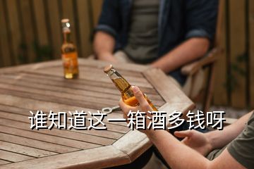 誰知道這一箱酒多錢呀