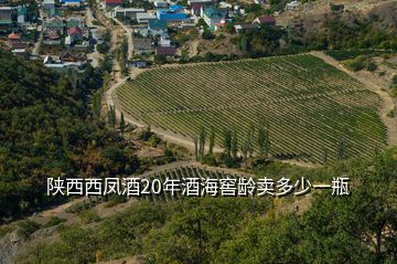 陜西西鳳酒20年酒海窖齡賣(mài)多少一瓶