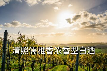 清照儒雅香濃香型白酒