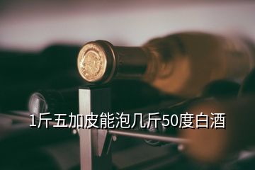 1斤五加皮能泡幾斤50度白酒