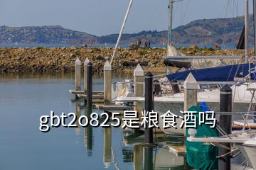 gbt2o825是糧食酒嗎