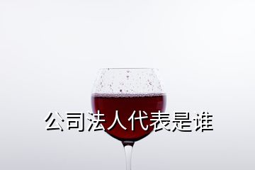 公司法人代表是誰(shuí)