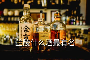 蘭陵什么酒最有名