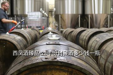 西鳳酒臻品t28年份封藏酒多少錢(qián)一瓶