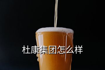 杜康集團怎么樣