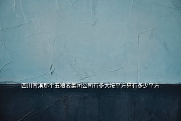 四川宜濱那個五糧液集團公司有多大按平方算有多少平方