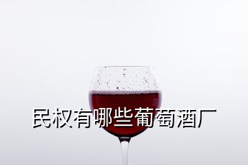 民權(quán)有哪些葡萄酒廠