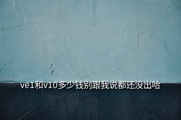 ve1和v10多少錢別跟我說都還沒出哈