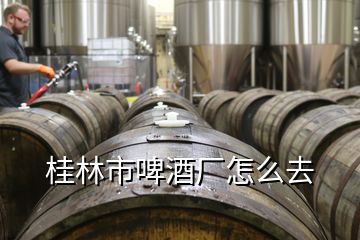 桂林市啤酒廠怎么去