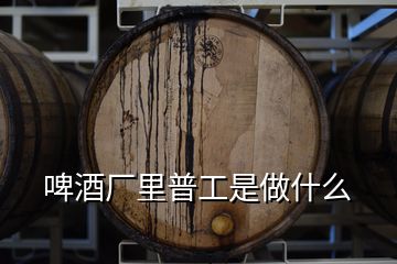 啤酒廠里普工是做什么