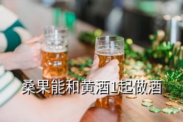 桑果能和黃酒1起做酒