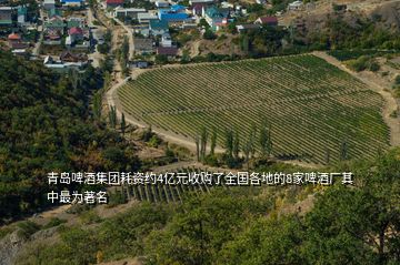 青島啤酒集團(tuán)耗資約4億元收購了全國各地的8家啤酒廠其中最為著名