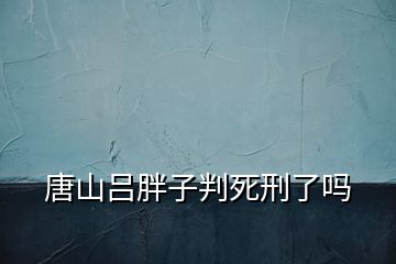 唐山呂胖子判死刑了嗎