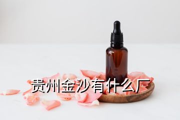 貴州金沙有什么廠