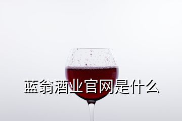 藍(lán)翁酒業(yè)官網(wǎng)是什么