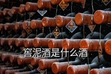 窖泥酒是什么酒