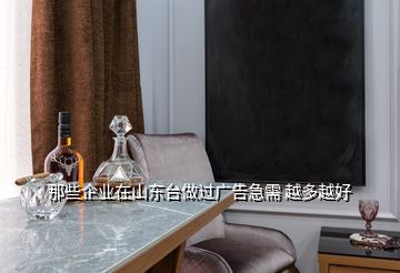 那些企業(yè)在山東臺做過廣告急需 越多越好