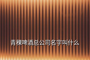 青稞啤酒總公司名字叫什么