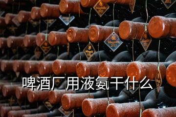 啤酒廠用液氨干什么